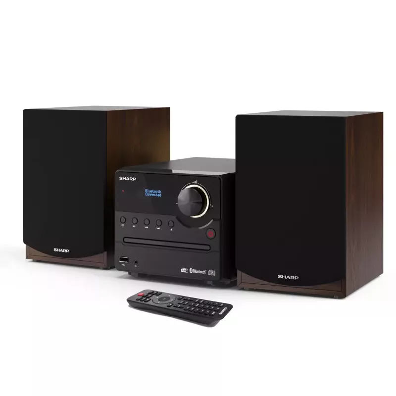 Micro-sistema de áudio Sharp XL-B517D 45 W castanho
