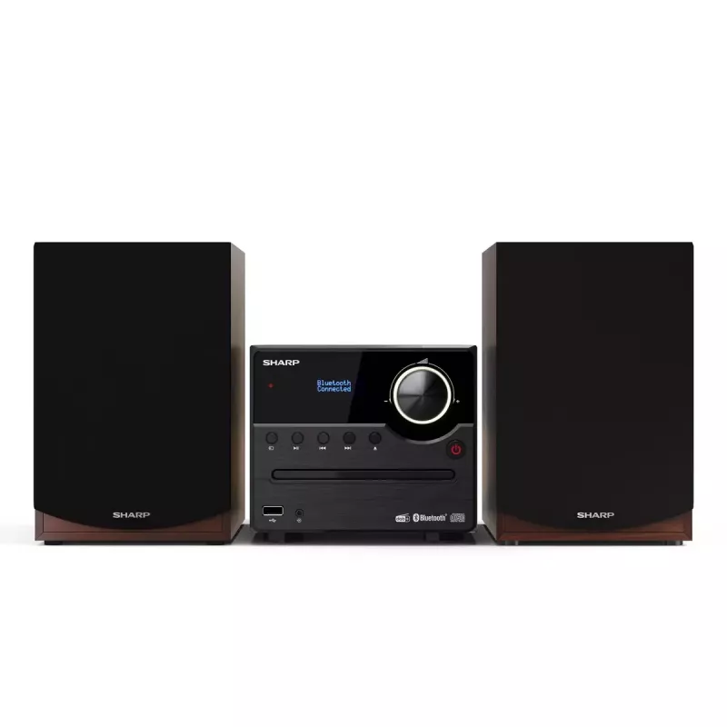 Micro-sistema de áudio Sharp XL-B517D 45 W castanho