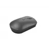 Rato Lenovo 540 ambidestro RF sem fios ótico 2400 DPI