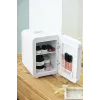 Mini-frigorífico independente Adler AD 8085, 4 L, abertura à direita, porta com espelho, 220–240 V/12 V
