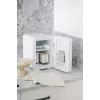 Mini-frigorífico independente Adler AD 8085, 4 L, abertura à direita, porta com espelho, 220–240 V/12 V