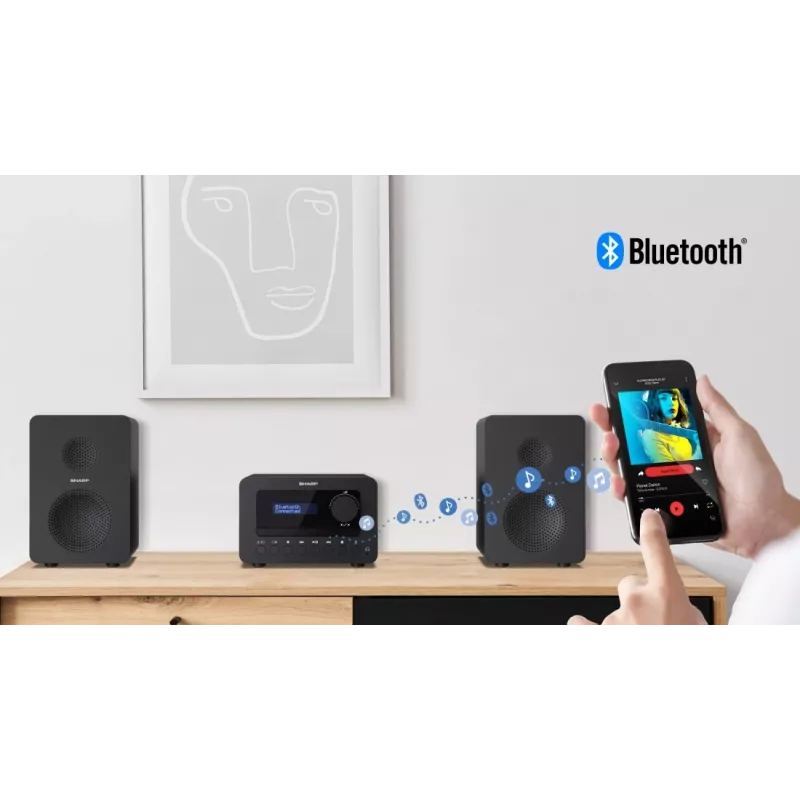 Micro sistema de áudio doméstico Sharp TOKYO DAB+ HI-FI 40 W Preto