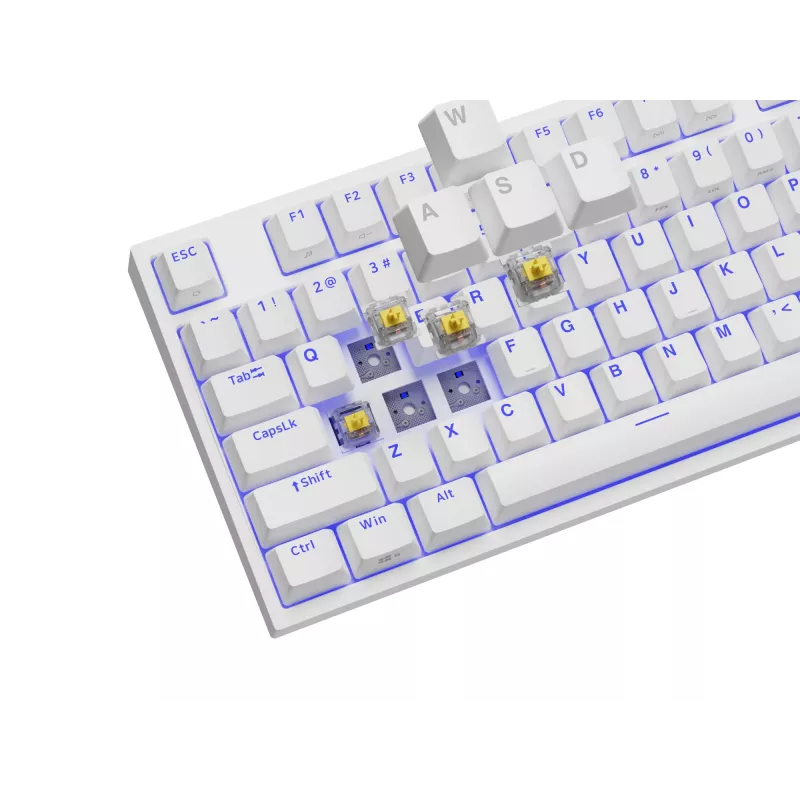 GENESIS Thor 404 TKL Teclado Gaming USB QWERTY US International Branco