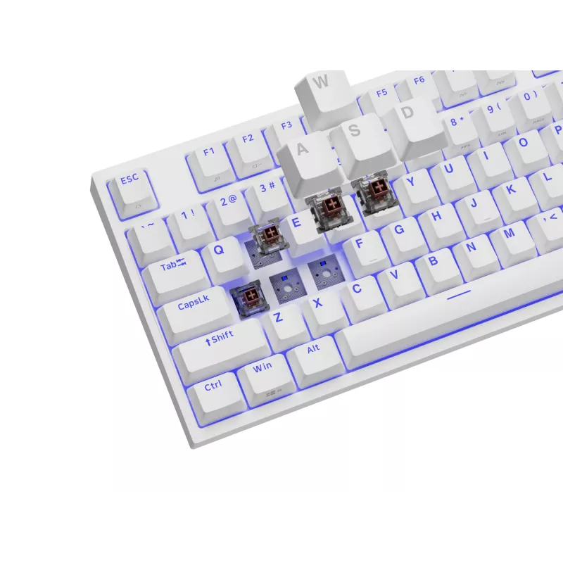 GENESIS Thor 404 TKL Teclado Gaming USB QWERTY US International Branco