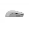 Rato sem fios Lenovo Compact Cinzento Ártico — Ambidestro, RF Wireless, 1000 DPI, 3 botões, alimentado por pilha