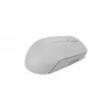 Rato sem fios Lenovo Compact Cinzento Ártico — Ambidestro, RF Wireless, 1000 DPI, 3 botões, alimentado por pilha