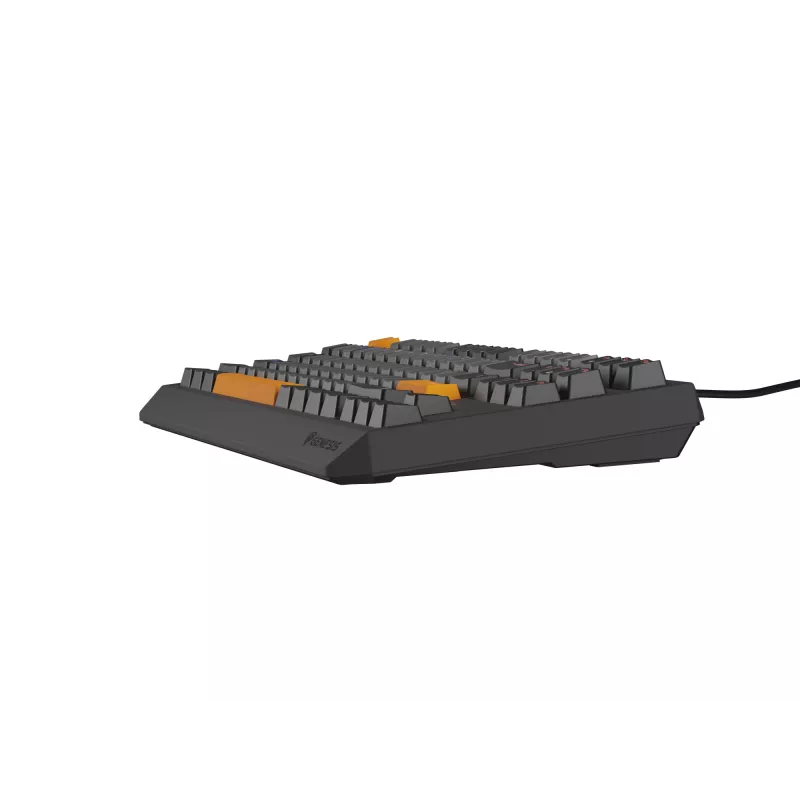 Genesis Thor 230 TKL teclado mecânico gaming com fios, US, Anchor Gray Negative, Outemu Red