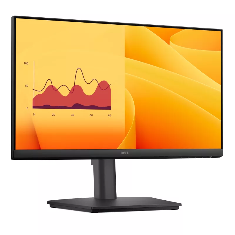 Monitor de computador DELL E Series E2225HSM 54,6 cm (21,5