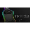 Cadeira gaming para PC GENESIS TRIT 660 assento acolchoado peso máx. 150 kg