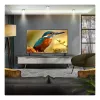 TV LG 55QNED85A3C 55 polegadas 4K QNED evo Smart TV, WebOS, Motion Pro, Wi‑Fi, Ethernet, DVB-T/T2, preto