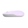 Rato ASUS Marshmallow MD100 Escritório Ambidestro RF Wireless + Bluetooth Ótico 1600 DPI