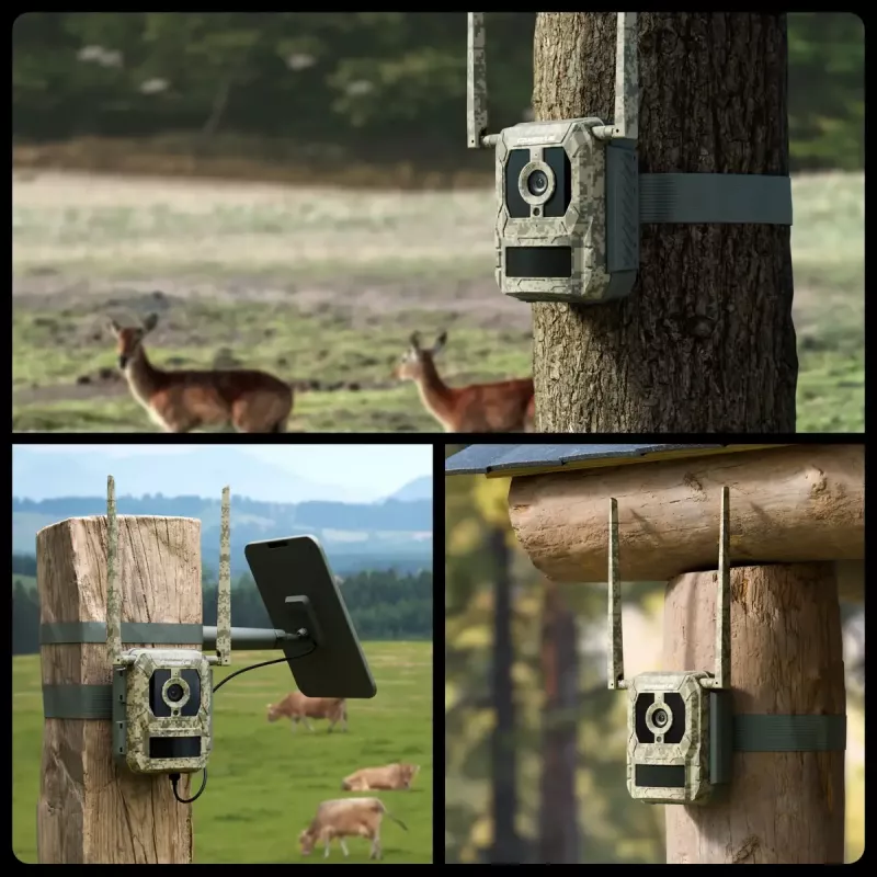 Câmara de caça Reolink Camovue Talon S130 4G LTE, 8 MP, 3840×2160, 95° H × 50,2° V, IP67, recarregável por USB‑C, para exterior
