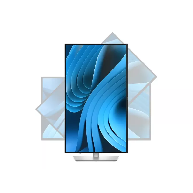 Monitor Dell P2725D 68,58 cm IPS QHD 2560x1440 100Hz 8ms 350 cd/m² HDMI, 60 meses de garantia