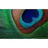 Projetor de distância padrão Epson EH-TW7000 3000 ANSI lúmenes 3LCD UHD 4K (3840x2160) 3D branco