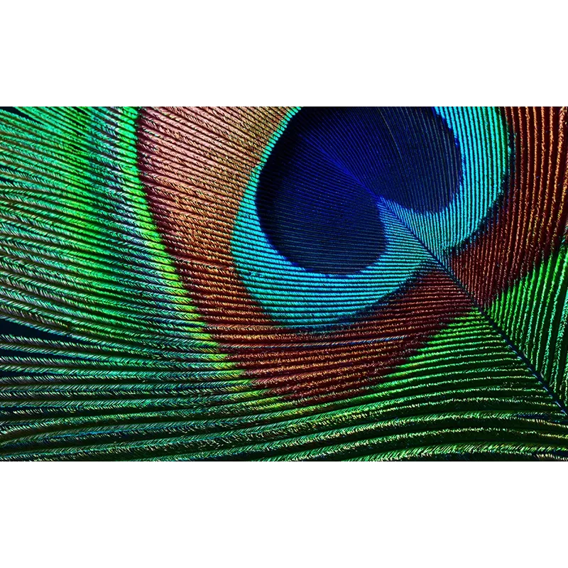 Projetor de distância padrão Epson EH-TW7000 3000 ANSI lúmenes 3LCD UHD 4K (3840x2160) 3D branco