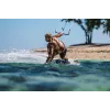Headset Shokz OpenSwim Pro — headset sem fios open-ear de condução óssea, IP68 à prova de água, Bluetooth 5.4, 32 GB, 9 h de reprodução, cinzento
