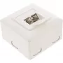 Tomada de parede InLine Cat.6 2x RJ45 horizontal — montagem à superfície ou embutida