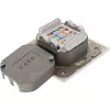 Tomada de parede InLine Cat.6 2x RJ45 horizontal — montagem à superfície ou embutida