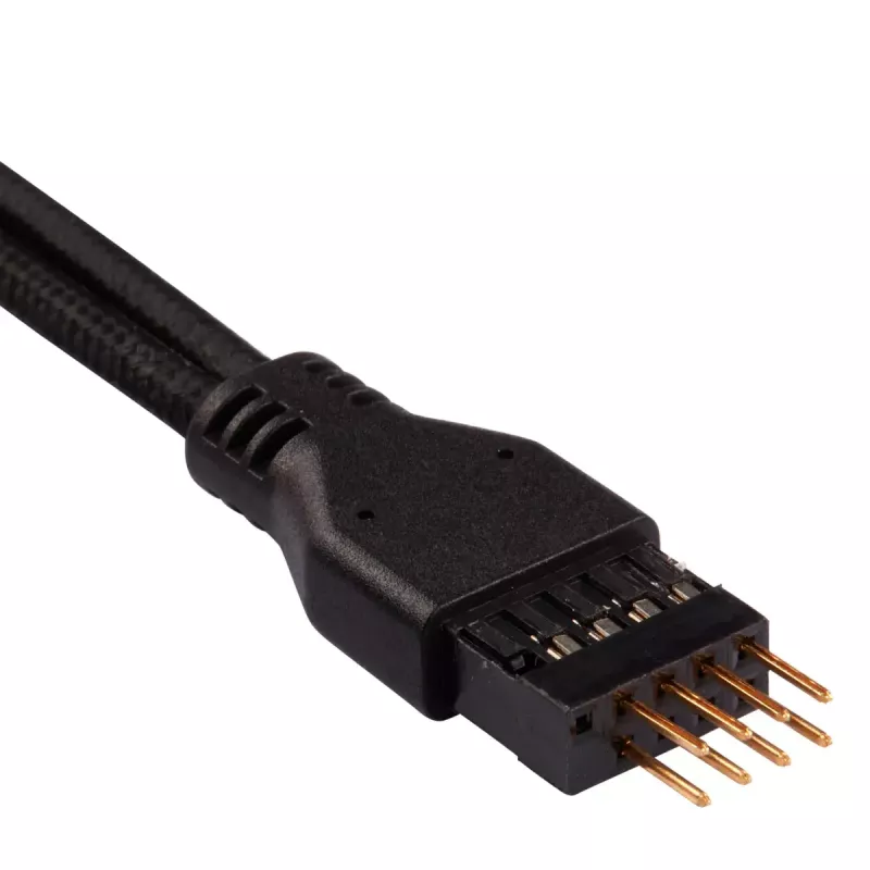 Cabo de alimentação interno Corsair CC-8900244 0,3 m macho para macho