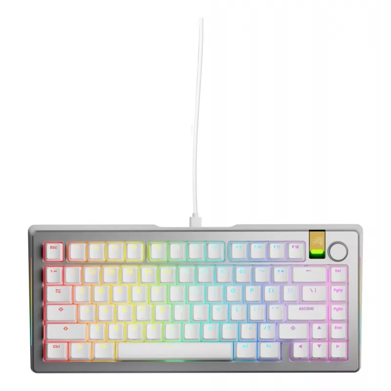 Teclado gaming mecânico GLORIOUS GMMK 3 PRO HE 75% Prebuilt com fio USB QWERTY prateado