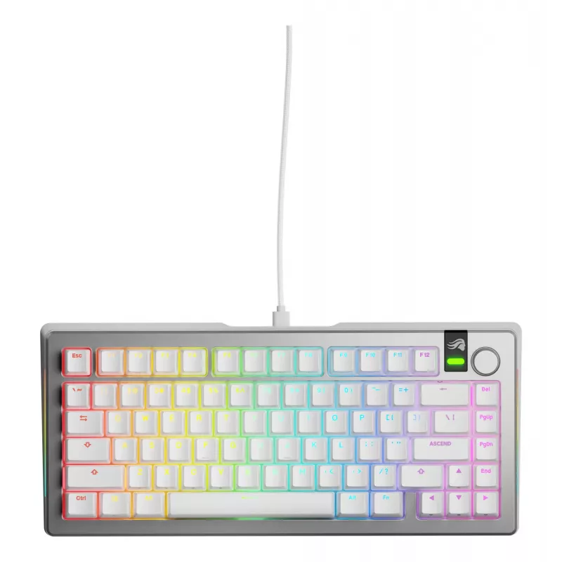 Glorious GMMK 3 Pro 75% teclado gaming personalizável, pré-montado, com fio, switches Fox, ANSI (US), prateado