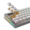 Interruptores Glorious Gaming Glorious Panda HE - 36 unidades, interruptores para teclado, policarbonato (PC), translúcido, amarelo