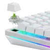 Interruptores mecânicos Glorious Gaming Glorious Raptor Clicky – 36 unidades