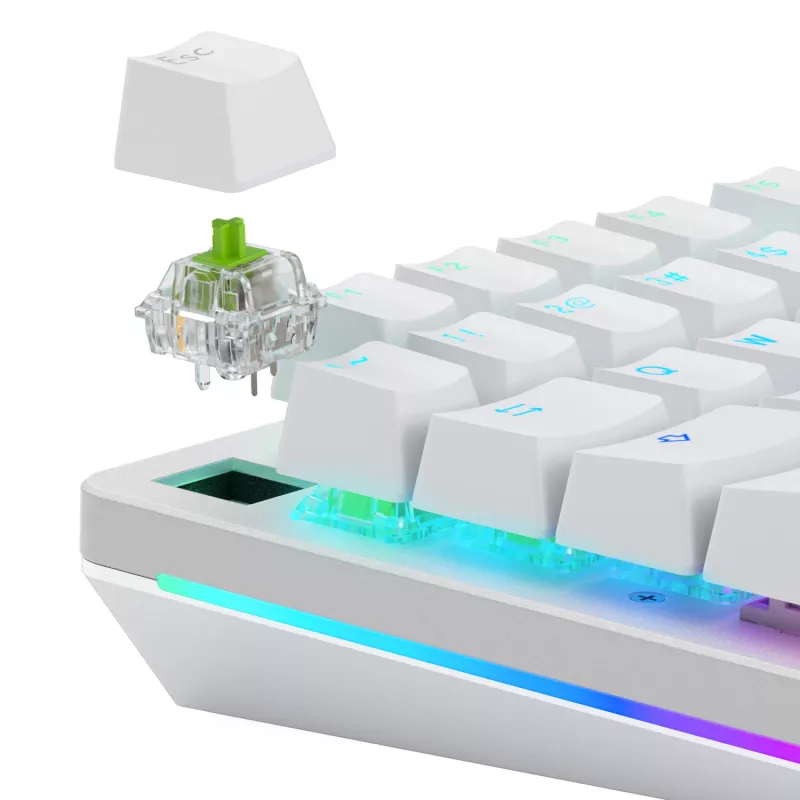 Interruptores mecânicos Glorious Gaming Glorious Raptor Clicky – 36 unidades