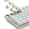 Interruptores mecânicos Glorious Gaming Glorious Raptor Clicky – 36 unidades