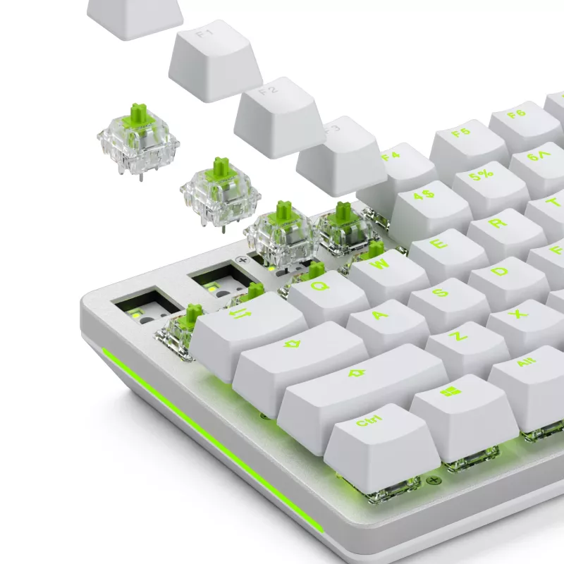 Interruptores mecânicos Glorious Gaming Glorious Raptor Clicky – 36 unidades