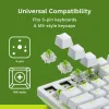 Interruptores mecânicos Glorious Gaming Glorious Raptor Clicky – 36 unidades