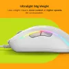 Glorious Gaming Glorious Model D 2 Wired - branco mate, destro, ótico, USB Type-A, 26000 DPI, branco