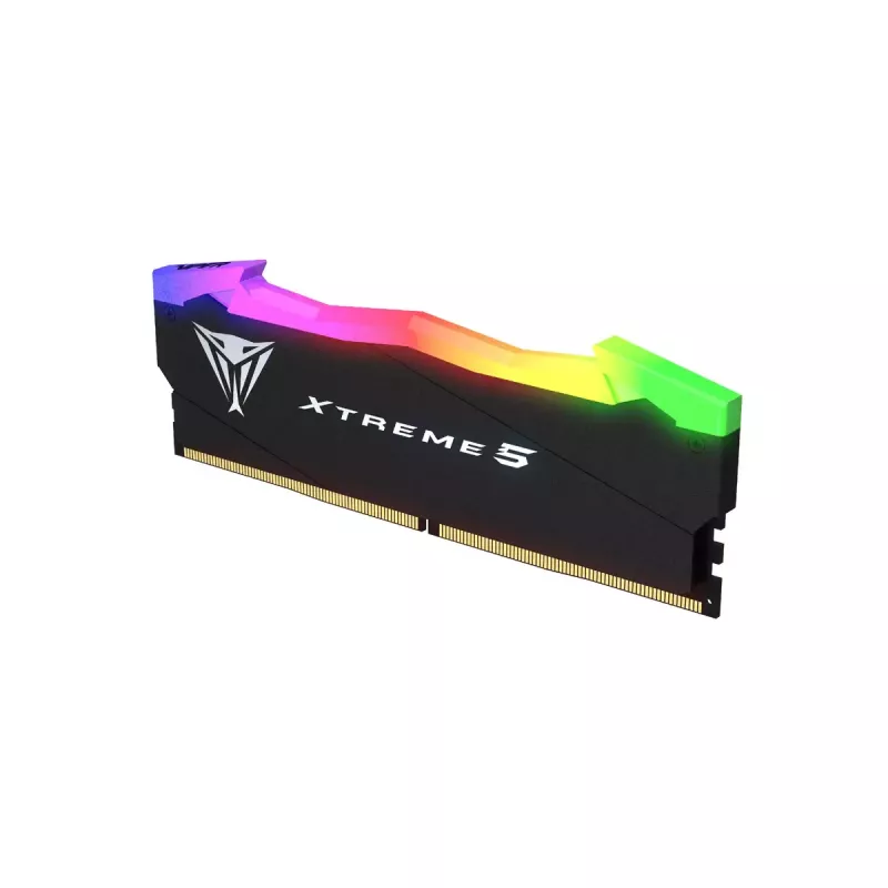 DIMM 32 GB DDR5-8000 (2x 16 GB) Dual-Kit, memória RAM preta, PVXR532G80C38K, Viper Xtreme5 RGB, INTEL XMP