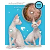 3Coty comida húmida com pato para gatos adultos, 80 g