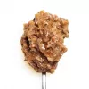 3Coty comida húmida para gatos adultos com peru e krill, 80 g