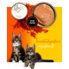 Alimento húmido para gatos 3coty Frango com krill para gatinhos, 80 g, alimento completo, sem açúcar, sem glúten e sem soja