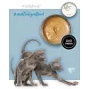3Coty comida húmida para gatinhos com peru e frango, 80 g
