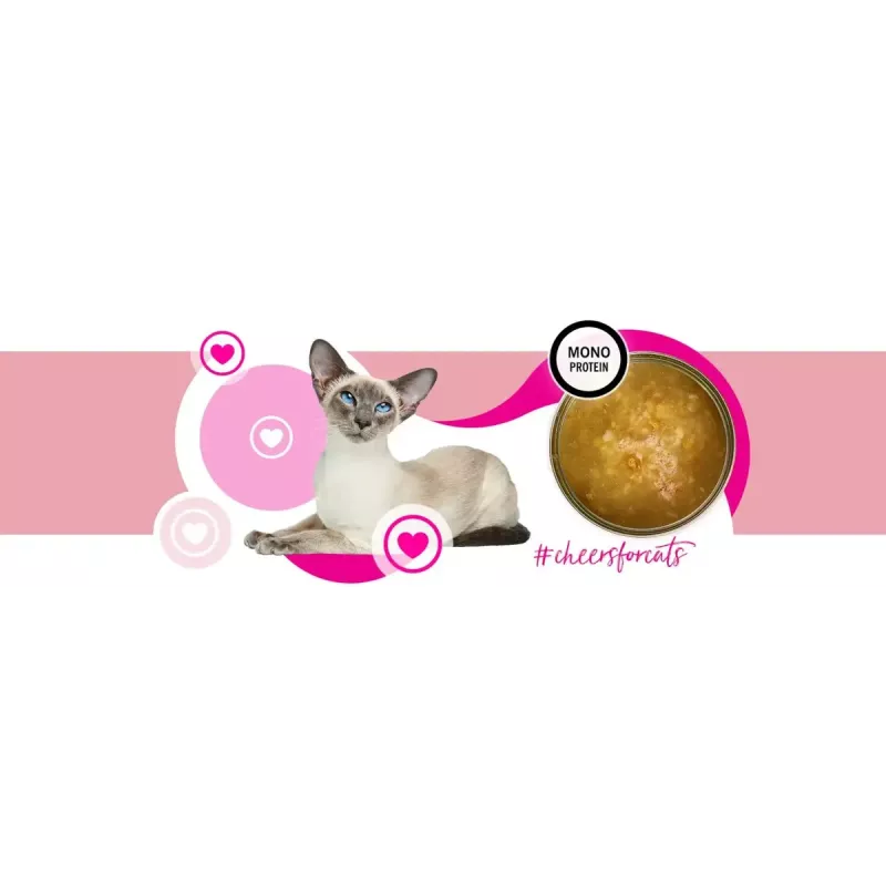 Alimento húmido para gatos 3coty Turkey Cheers 75 g — gatos adultos, dose individual complementar, 80% humidade, 6% proteína
