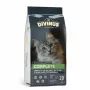 Comida seca para gatos DIVINUS Cat Complete 20 kg — alimento de manutenção para gatos adultos, frango, 30% proteína, 12% gordura