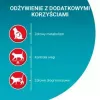 Purina One Sterilcat comida seca para gatos com carne de vaca, 9,75 kg