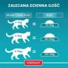 Purina One Sterilcat comida seca para gatos com carne de vaca, 9,75 kg