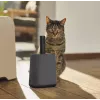 Rotho Biala pá para areia de gato com sacos, antracite