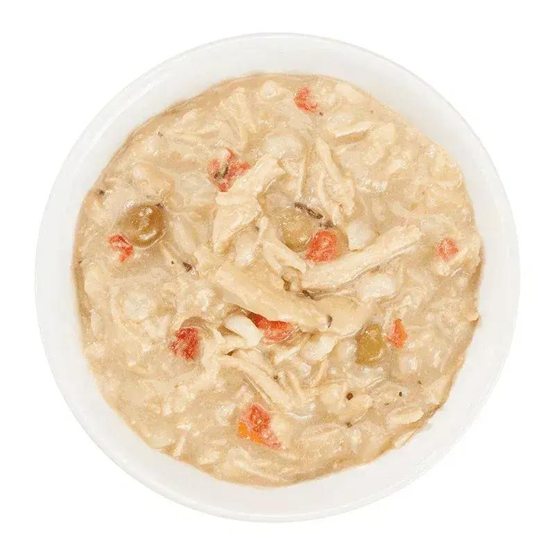Comida húmida para cães Agras Pet Foods Schesir Taste the World 150 g — frango, sem glúten, adulto, lata