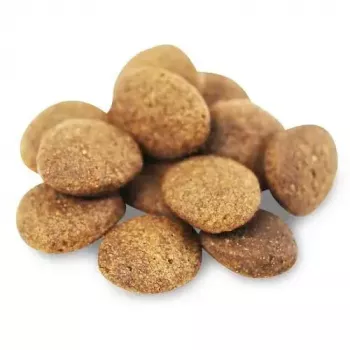 Ração seca para cães FISH4DOGS Superior Senior Medium Salmon — 12 kg, sem cereais, para cães idosos de porte médio