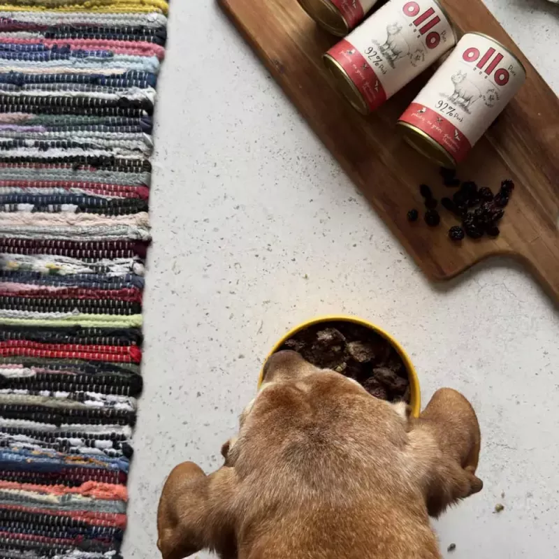OLLO Pure comida húmida de porco para cães, 850 g