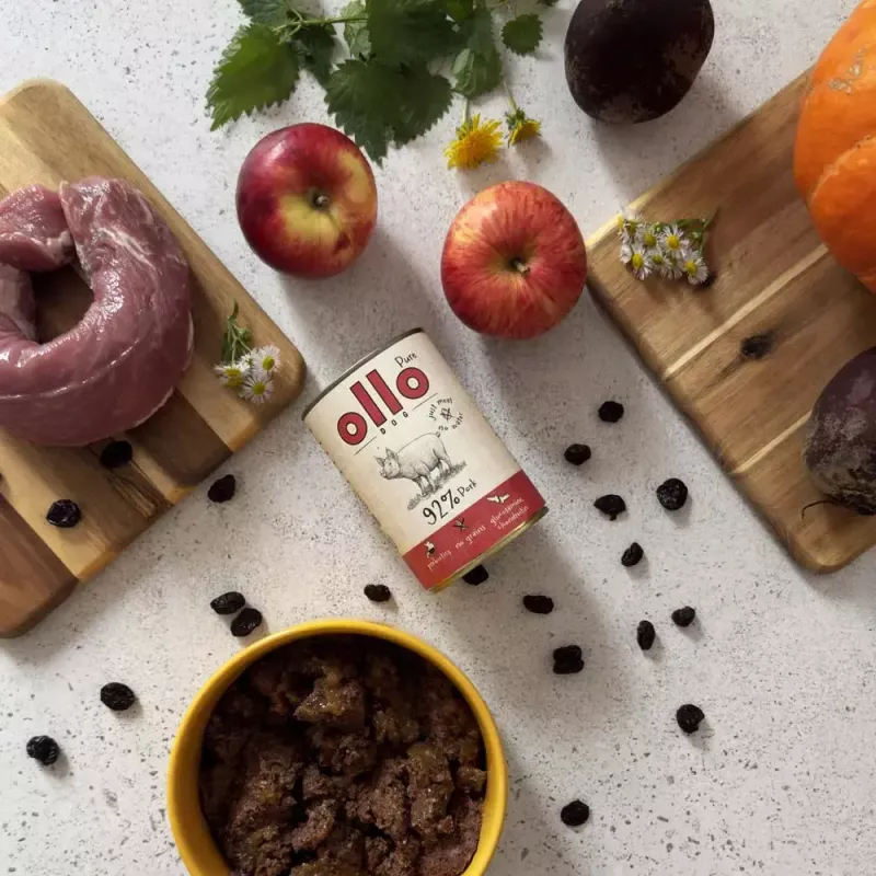 OLLO Pure comida húmida de porco para cães, 850 g