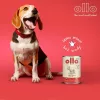 OLLO Pure comida húmida de porco para cães, 850 g