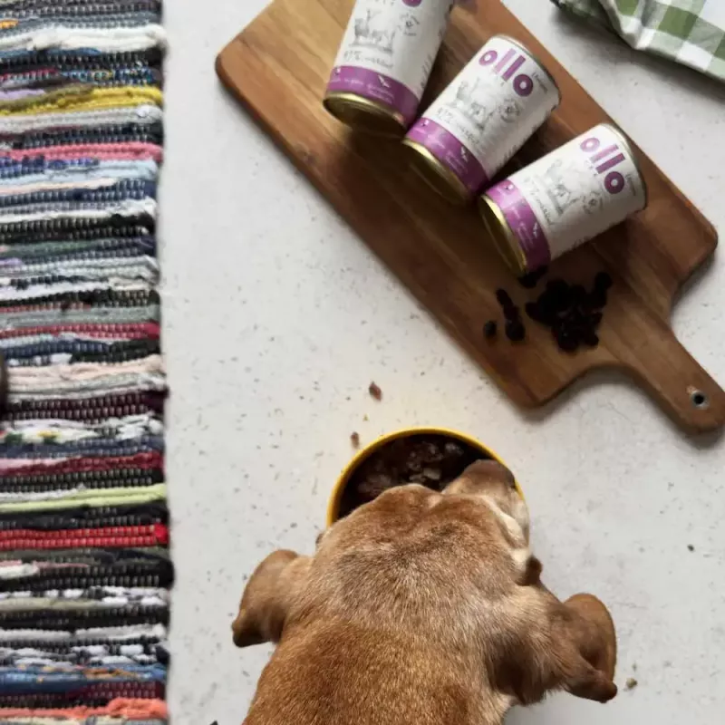 Comida húmida para cães OLLO Umami Borrego e vaca 850 g — adulto, sem cereais, sem glúten e sem soja
