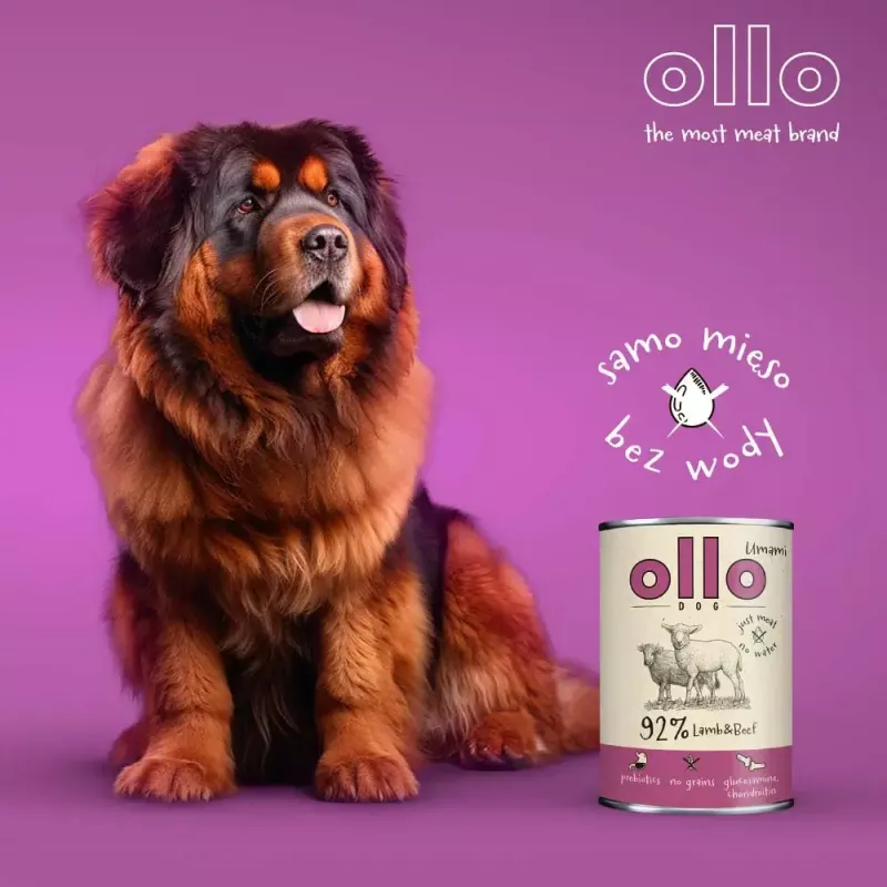 Comida húmida para cães OLLO Umami Borrego e vaca 850 g — adulto, sem cereais, sem glúten e sem soja