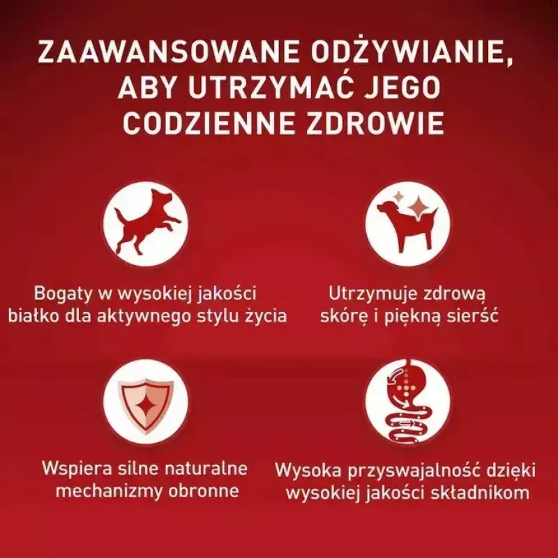 Purina One Mini/Small Active alimento húmido para cães com vaca, 85 g